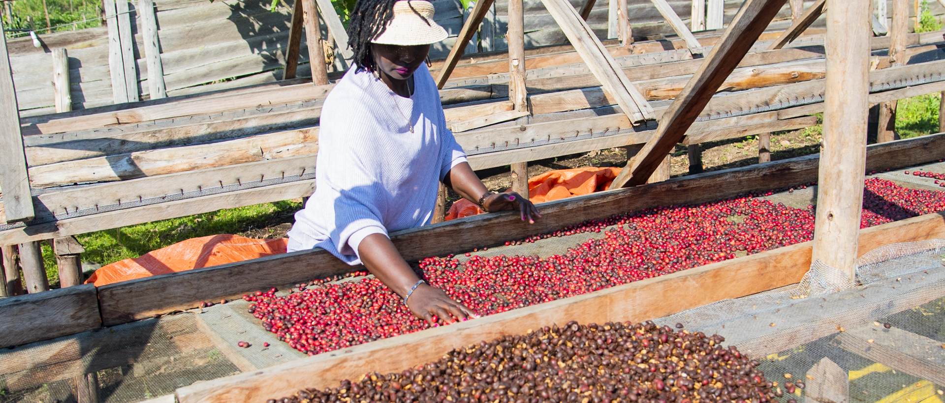 Uganda Agrotourism